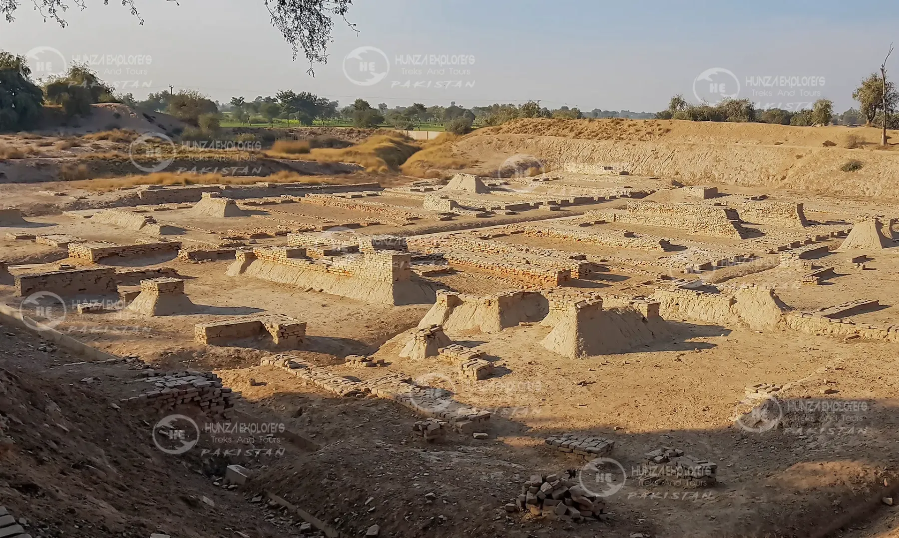 Excavated mounds at Harappa
