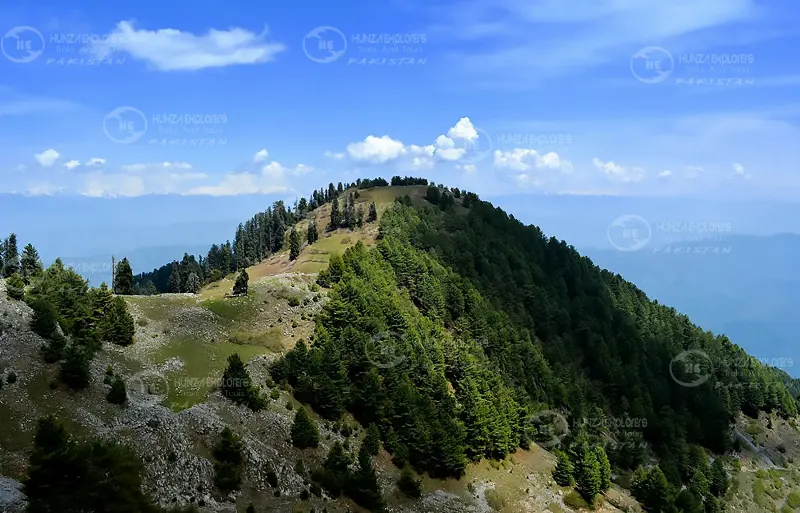 The hills near Murree