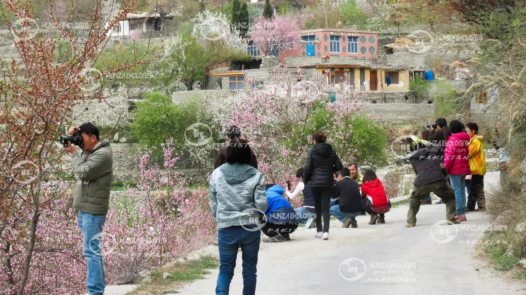Visitors among blossom in the Phander Valley