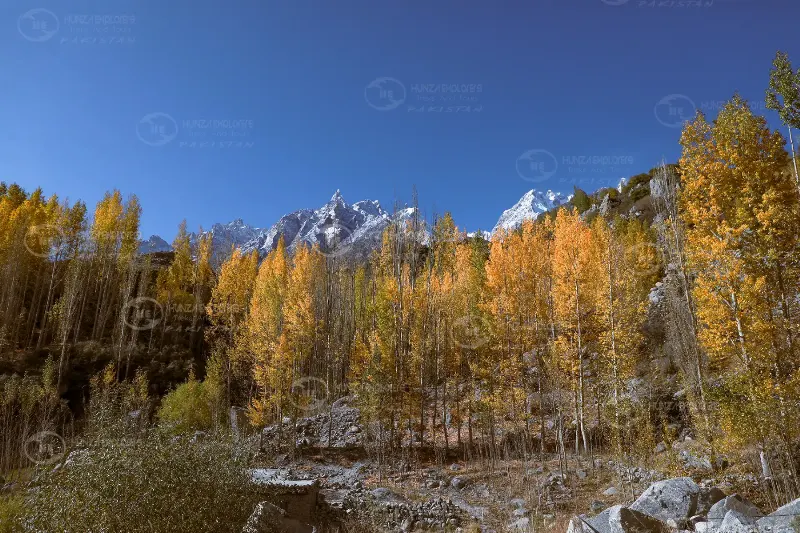 Gilgit Baltistan Autumn Tour